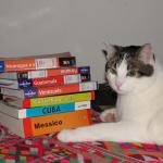-Gaia si concentra